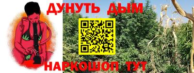 ПСИЛОЦИБИНОВЫЕ ГРИБЫ Усть-Джегута