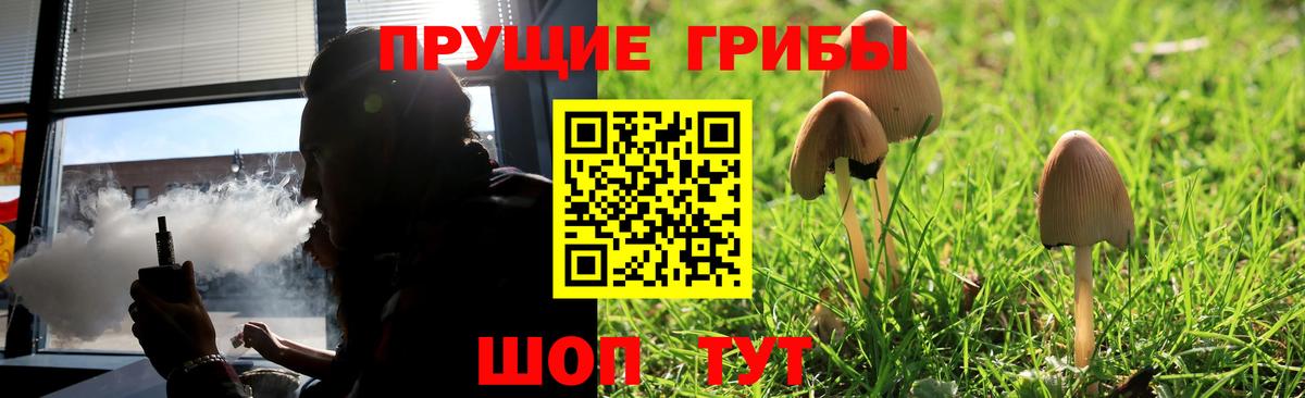Галлюциногенные грибы Psilocybe Нефтекамск